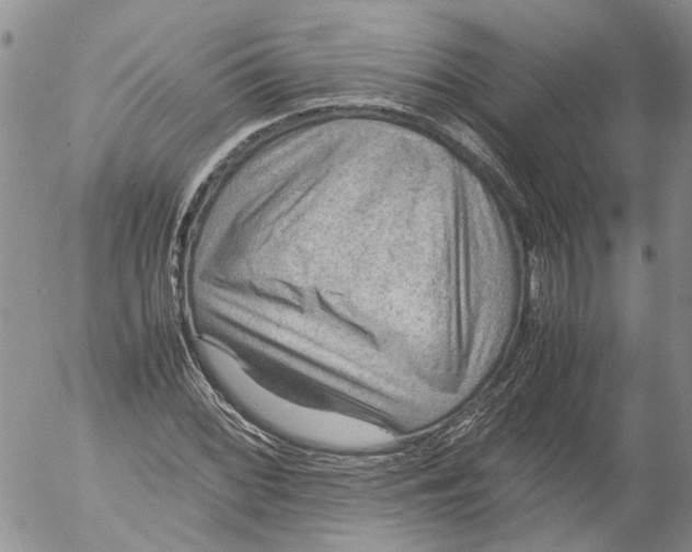 X0000053051068200508011842