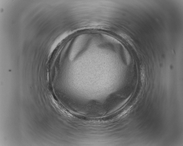 X0000053051069200508011842