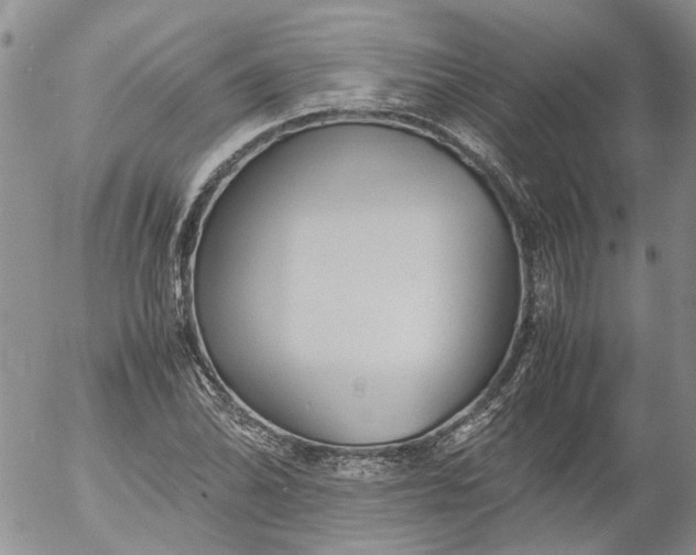 X0000053051070200508011842