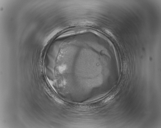 X0000053051071200508011842