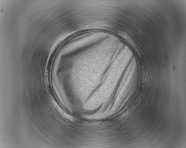 X0000053051072200508011842