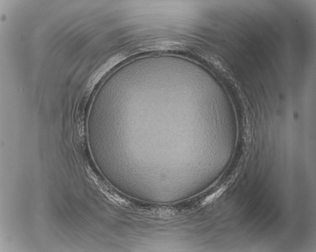 X0000053051073200508011842