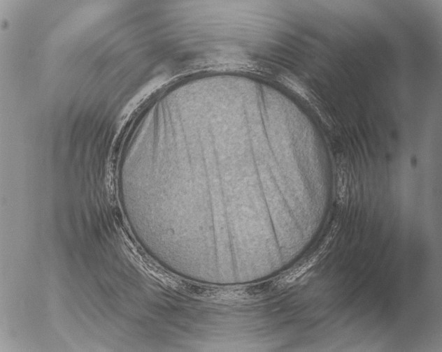 X0000053051074200508011842