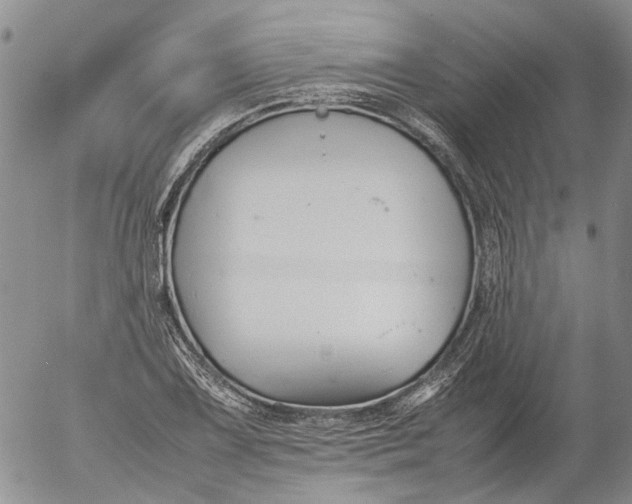 X0000053051075200508011842