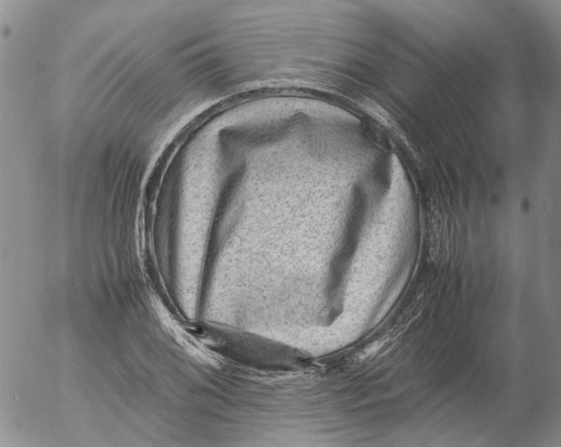 X0000053051076200508011842