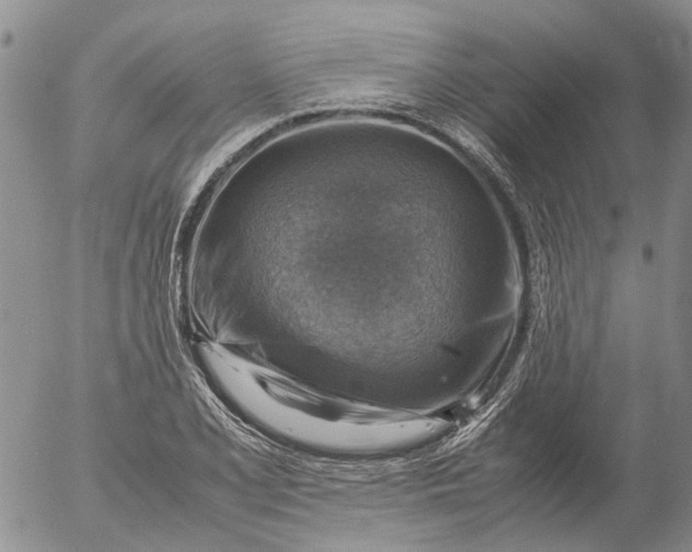 X0000053051077200508011842