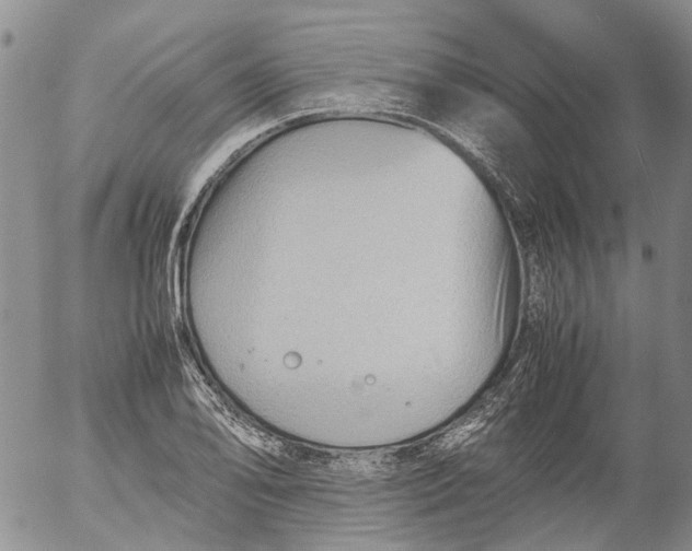 X0000053051078200508011842