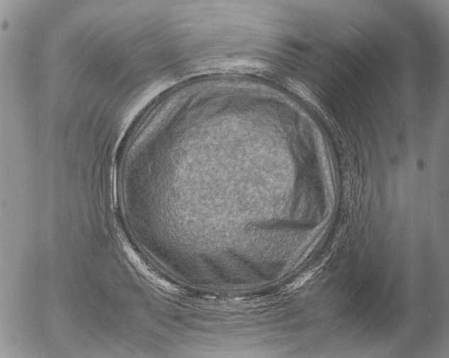 X0000053051079200508011842