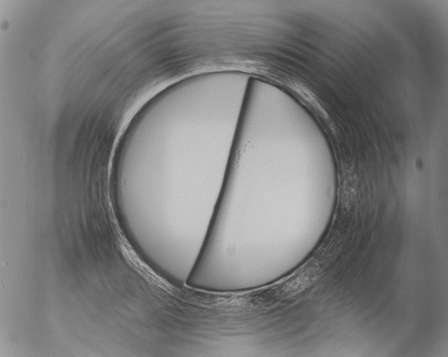 X0000053051080200508011842