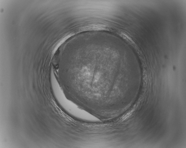 X0000053051081200508011842