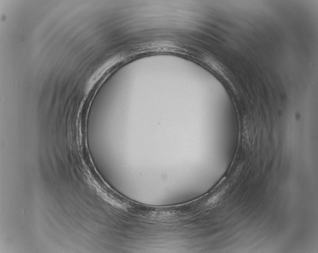 X0000053051082200508011842