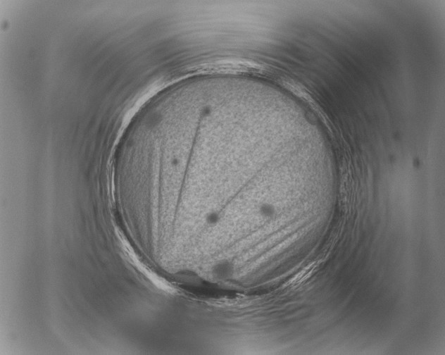 X0000053051083200508011842