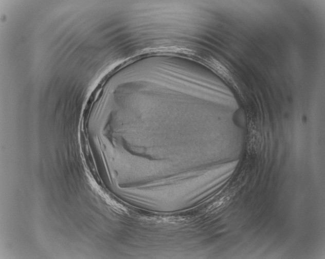 X0000053051084200508011841