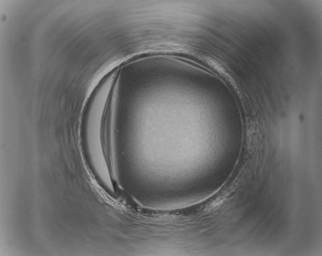 X0000053051085200508011841