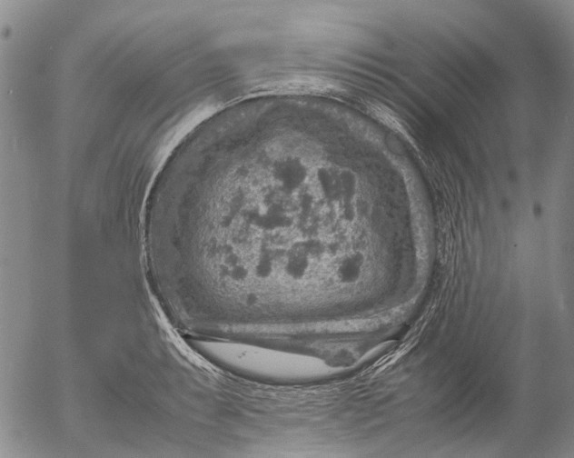 X0000053051087200508011841