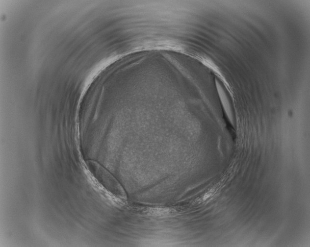 X0000053051088200508011841