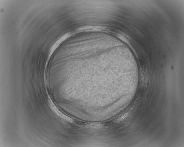 X0000053051090200508011841