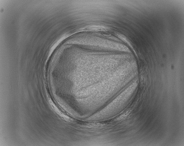 X0000053051091200508011841