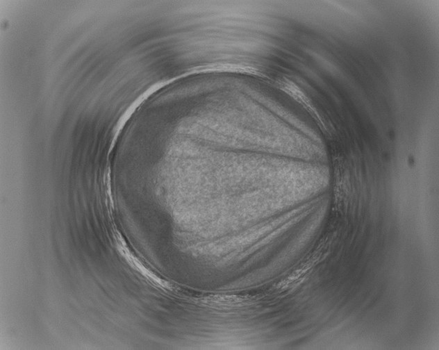 X0000053051092200508011841