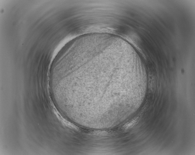 X0000053051094200508011841