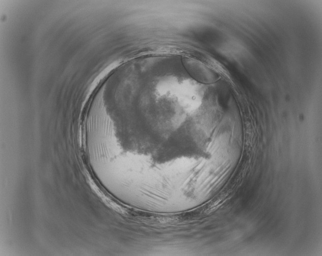 X0000053051095200508011841