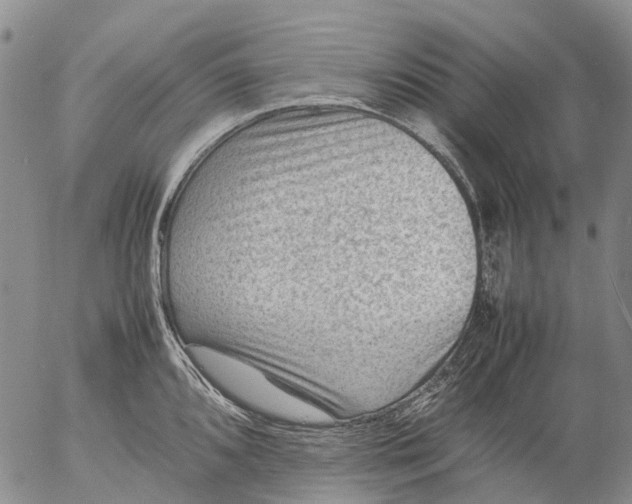 X0000053051096200508011841