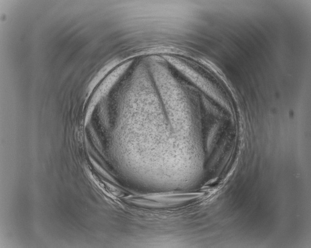 X0000053051097200508011841