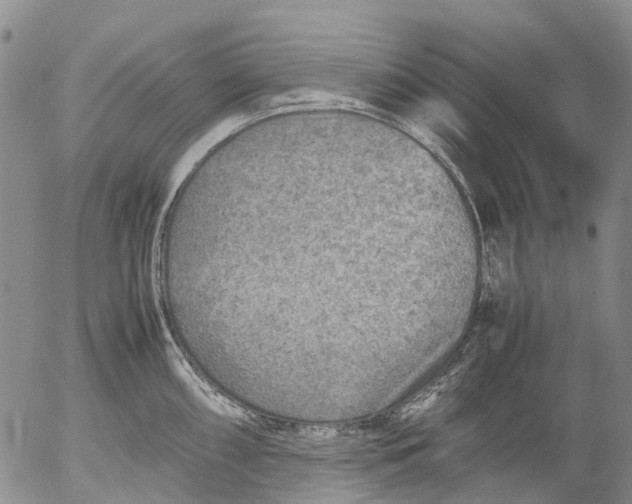 X0000053051098200508011841