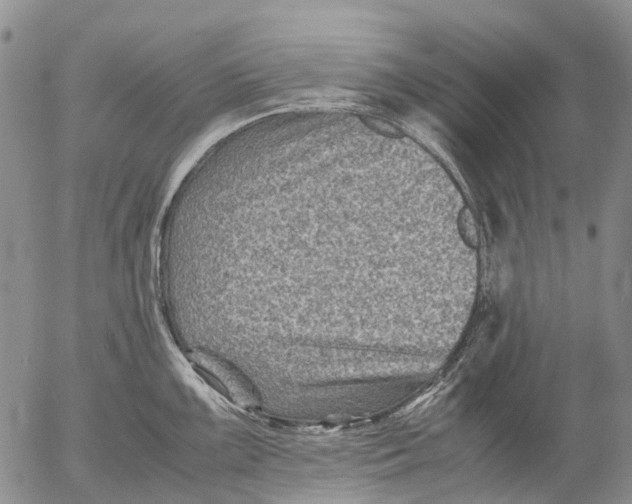 X0000053051099200508011841