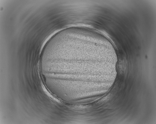 X0000053051100200508011841