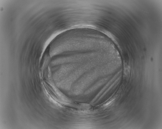 X0000053051102200508011841