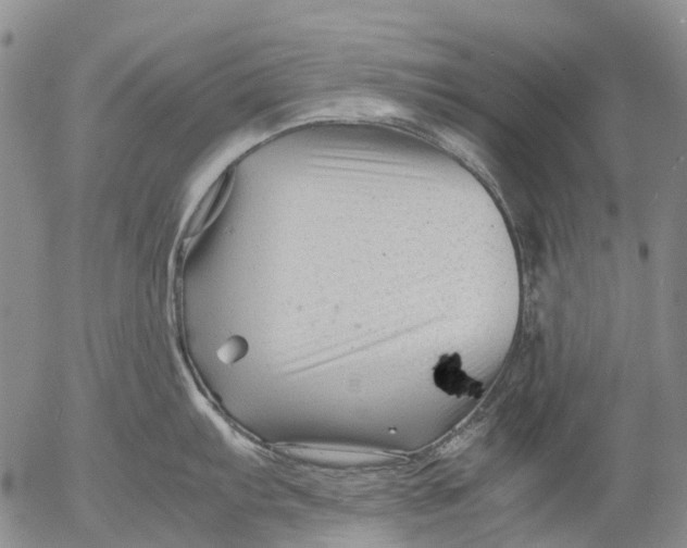 X0000053051103200508011841