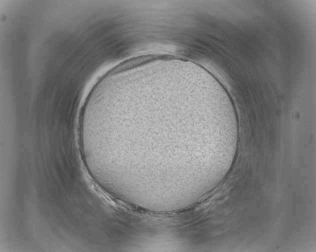 X0000053051104200508011841