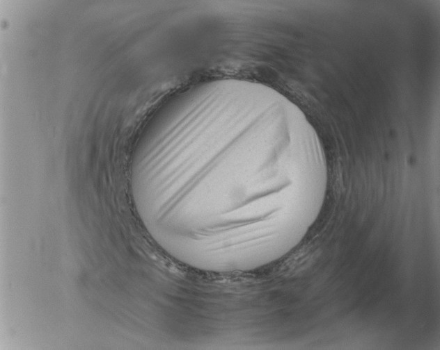 X0000053051105200508011840