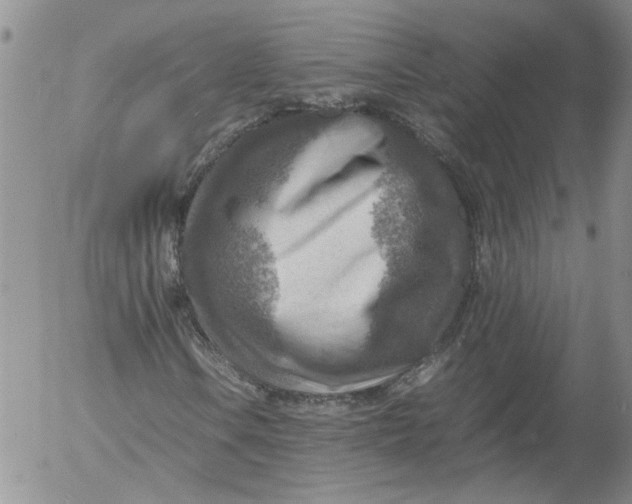 X0000053051106200508011840