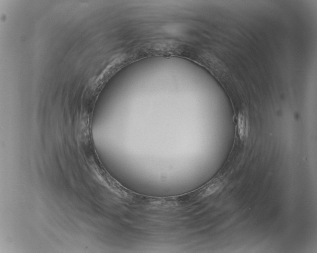 X0000053051107200508011840