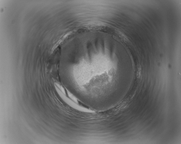 X0000053051108200508011840