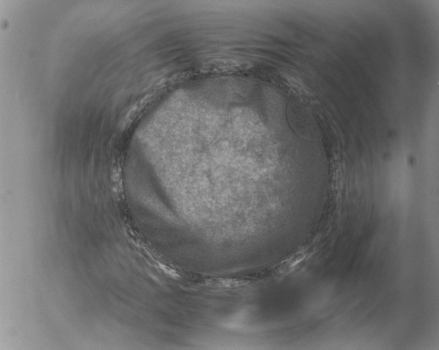 X0000053051109200508011840