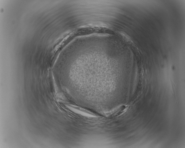 X0000053051110200508011840