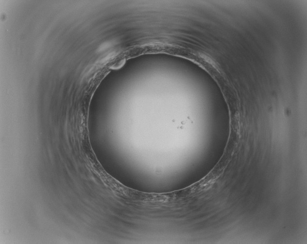 X0000053051111200508011840