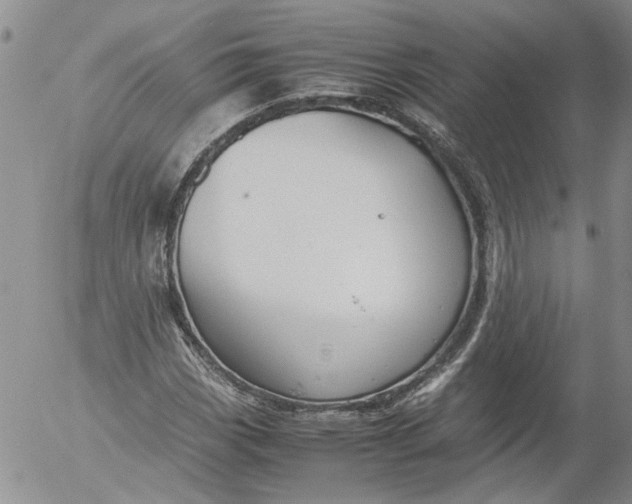 X0000053051113200508011840