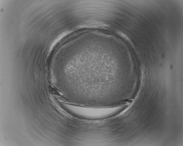 X0000053051114200508011841