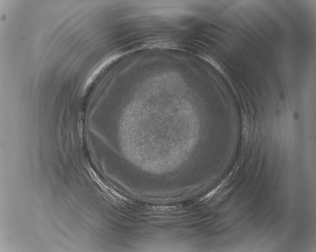 X0000053051115200508011841