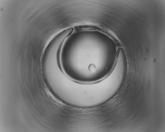 X0000053051116200508011841