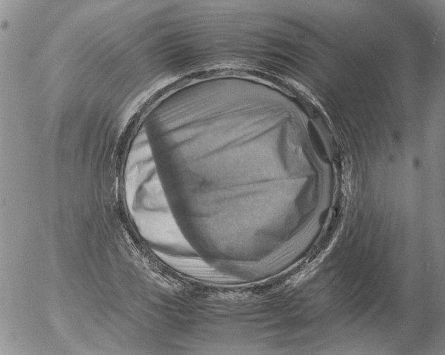 X0000053051117200508011841