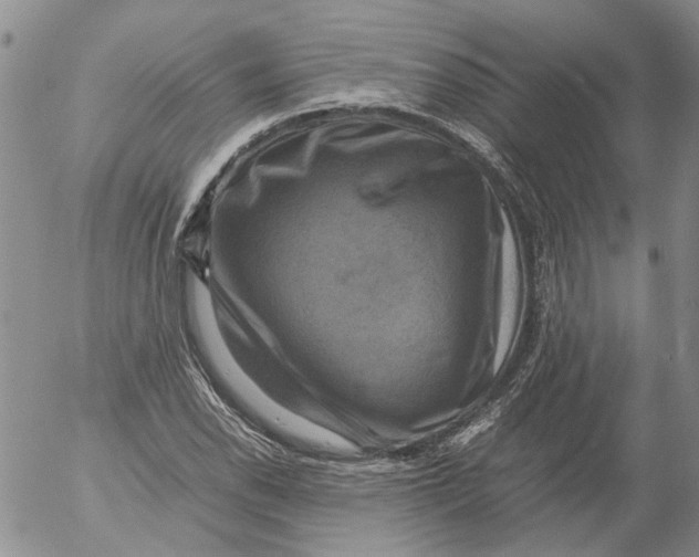 X0000053051118200508011841