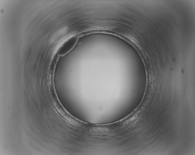 X0000053051119200508011841