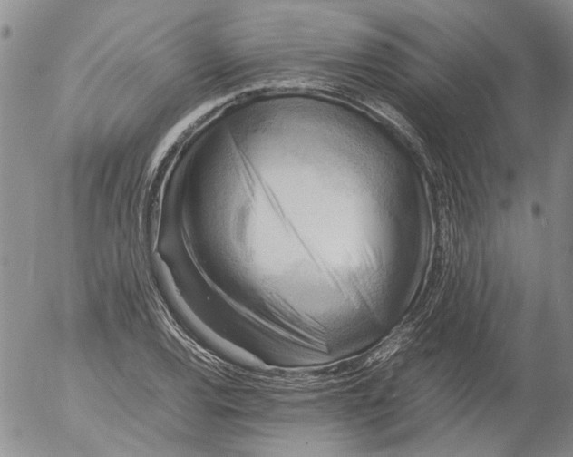 X0000053051120200508011841