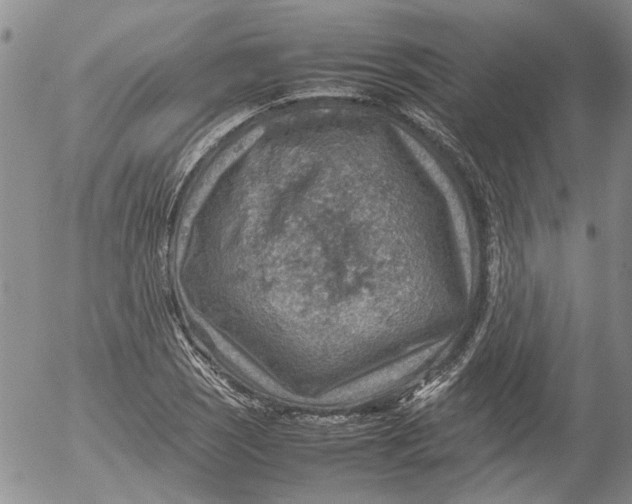 X0000053051121200508011841