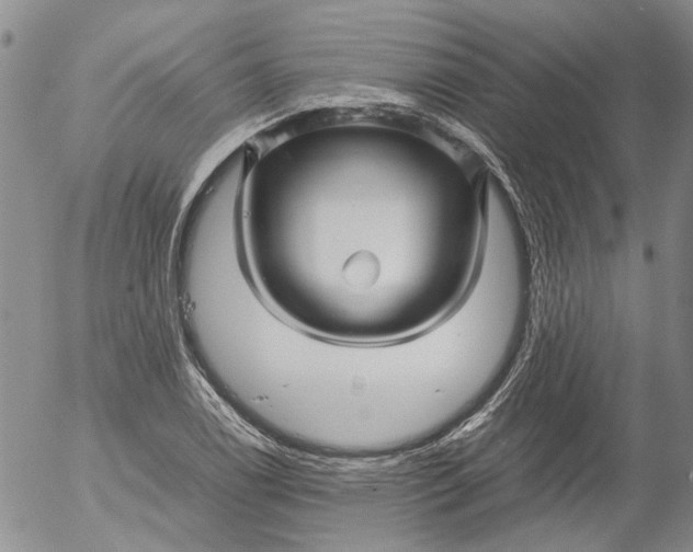 X0000053051122200508011841